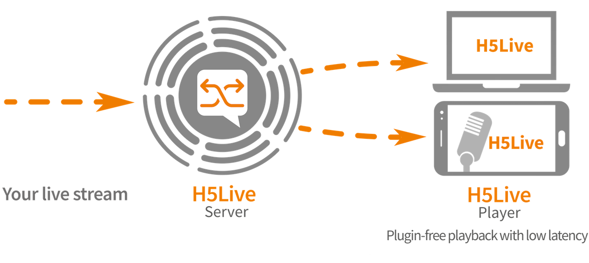 h5live-schema